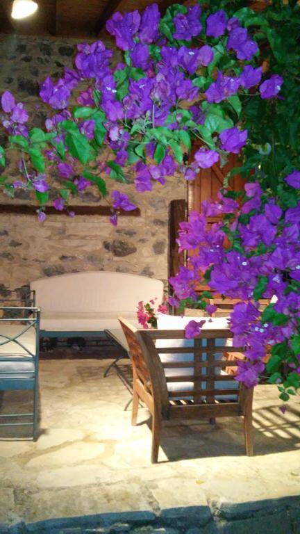 Blue Cottage Apsiou ภายนอก รูปภาพ