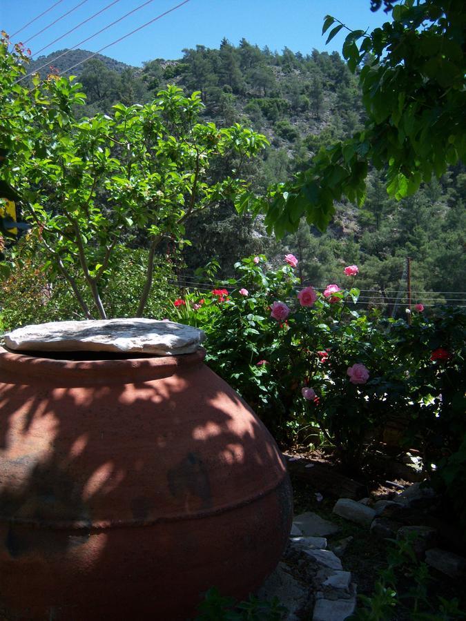 Blue Cottage Apsiou ภายนอก รูปภาพ